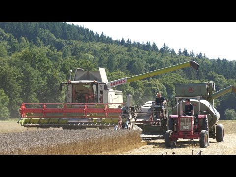 Harvesting from old to new – Claas Junior, Claas Columbus & Claas Lexion 740 | Wheat harvest in D...