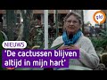 Cactusvrouw Anny neemt afscheid van haar cactussen: 'ze moeten me hier wegslepen'