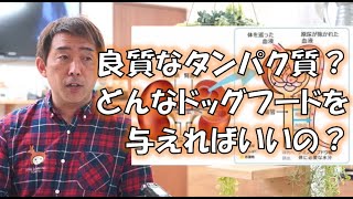タンパク質ってなんで大事なの？　ドッグフード選び