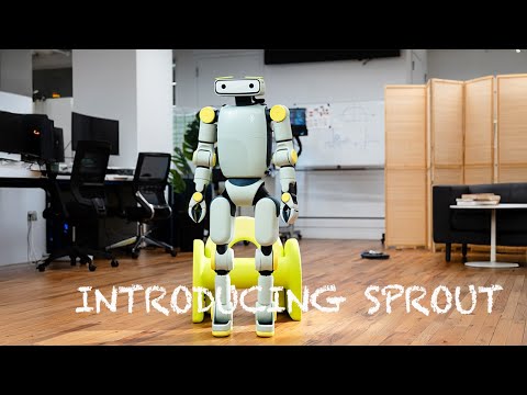 Sprout Review Video 2