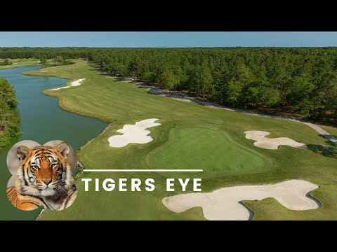 Panther's Run Golf Links video preview