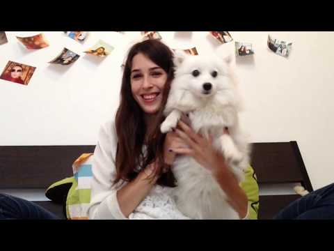 My Au Pair Video - Marine Ctn from France