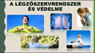 A légzés, légzőszervrendszer és egészségvédelme