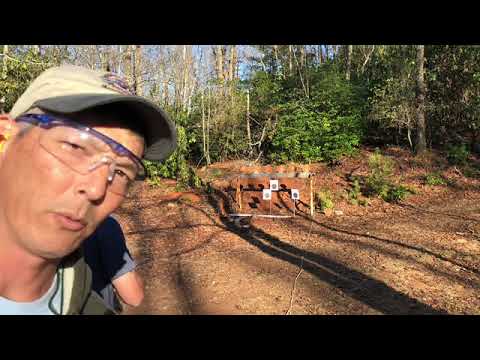 Taurus model 905 range review