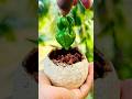 Viral Woodapple Masala Shorts Food Woodapple Masala