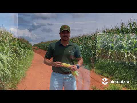 BM3066 BTMAX na Fazenda Santa Maria | Pires do Rio/GO