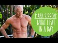 Mark Sisson: What I Eat In A Day