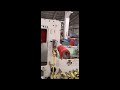 Odtwórz nagranie wideo
