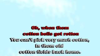 Cotton Field - Creedence (karaoke)