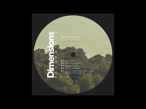 Marcos Cabral - Rice A Roni [Dimensions Recordings 006]