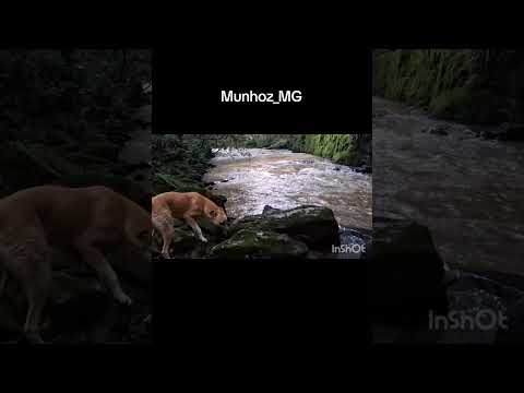 MUNHOZ_MG #munhoz #mg #minasgerais #toledo #natureza #brasil #interior #harpacristã