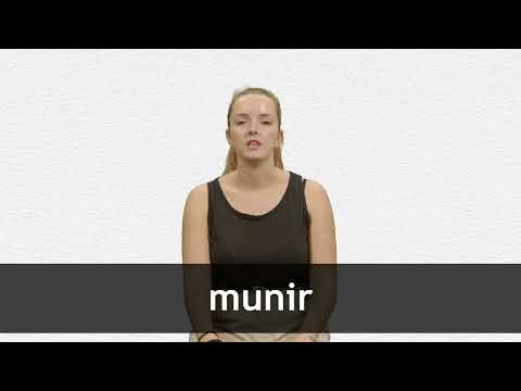 How to pronounce MUNIR in French