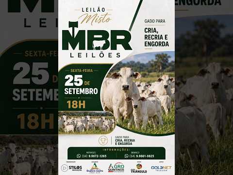 LEILÃO MISTO 25/09/2026 - MBR LEILÕES - RIO PARANAÍBA-MG