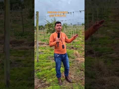 HERMOSA PARCELA EN PASCA CUNDINAMARCA