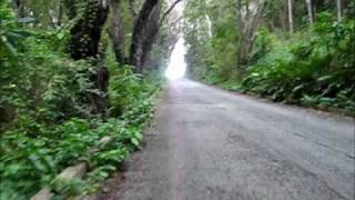 preview picture of video 'Barbados Bicycle cam # 30 [Cherry Tree hill/Morgan Lewis windmill]'