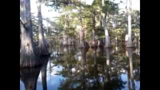 Waylon Jennings and an alligator.