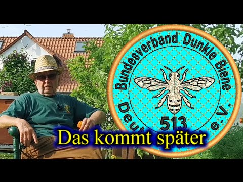 Wann gibt es die Dunkle Biene? 22.05.2023 die ersten Carnica-Kö´s sind da.