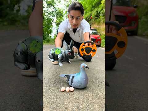 AMR Birds And Remote Control Rabbits wala Unboxing😍