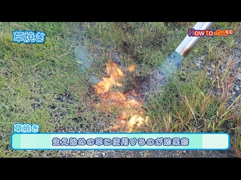 除草バーナーを正しく使う トピックス