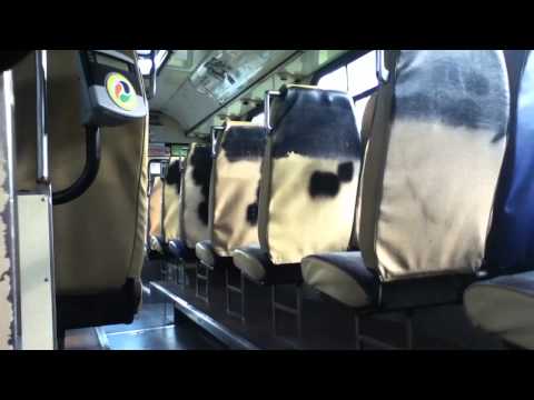 Volvo B10M Mk2 - ZF - Brisbane Transport Bus 403 [Comeng]