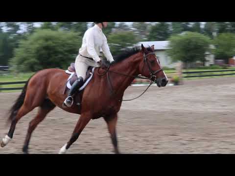 Bacardi R 3' Green Hunters at PSJ July