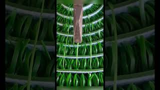 Gold Panning Moss (Gold Mat): Your Go-To for 98% Gold RecoveryCall it Gold Panning Moss, Gold Mat,