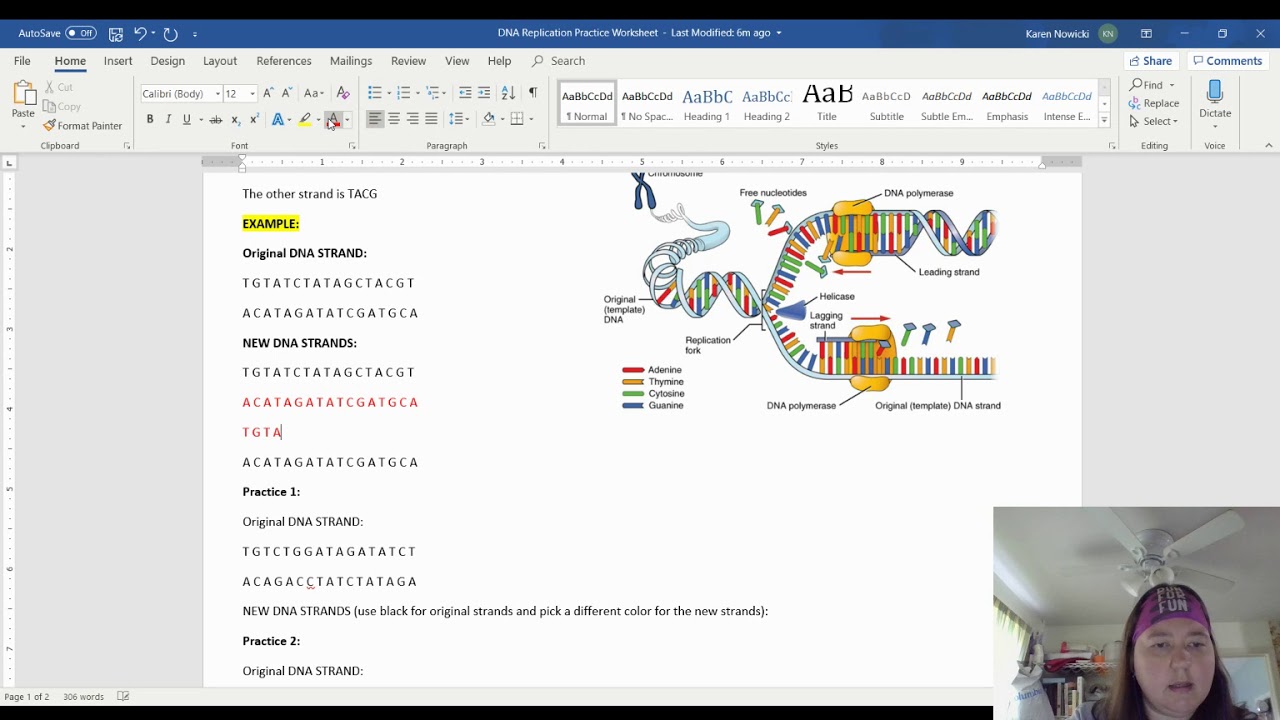 DNA Replication Worksheet Instructions
