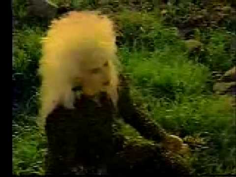 Jennifer Batten - Flight of the bumble bee