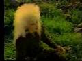 Jennifer Batten - Flight of the bumble bee