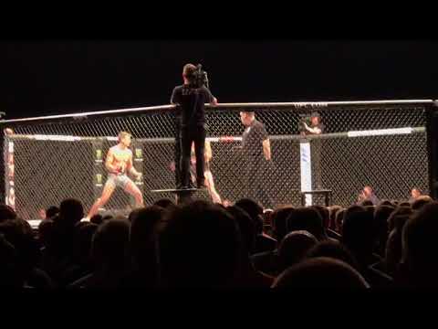 UFC: Liverpool Fight Night, Darren Till Vs Stephen Thompson