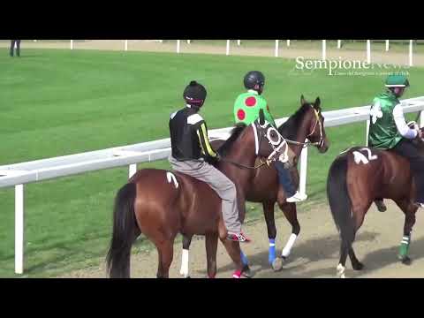 Live Streaming | Seconda riunione Corse di Addestramento Palio di Legnano