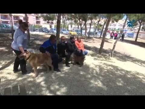 La Nucía pone en marcha el segundo Parque Recreativo Canino en la calle Sierra de Bernia