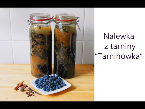 Blackthorn tincture - Tarninówka - part 1