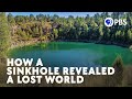 How A Sinkhole Revealed A Lost World