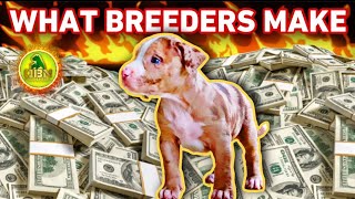 🔥 HOW MUCH MONEY BREEDERS MAKE?🔥 Home Based Business Ideas