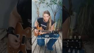 The Evolution of Zakk Wylde  #metal