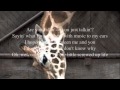 Carter's Chord Simple Little Screwed Up Life (with Lyrics)