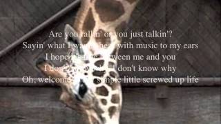 Carter's Chord Simple Little Screwed Up Life (with Lyrics)