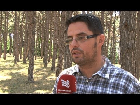 Flet Arton Berisha: Ferronikeli do të jetë “arrë” e fortë edhe në sezonin e ardhshëm