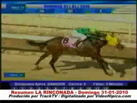 Domg. 31-01-2010 La Rinconada