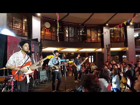 Elephant Kind - True Love