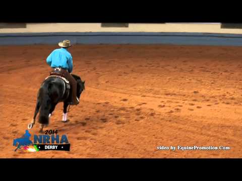 High Roller Whiz ridden by Jordan Larson - 2014 NRHA Derby(Open Derby 1st Go)