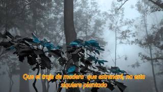 A MIS CUARENTA Y DIEZ ( JOAQUÍN SABINA ) ..VIDEO..LYRIC..dinomar