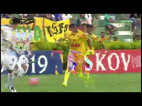 Gol de Carlão! Mirassol 1 x 1 Palmeiras - Campeonato Paulista 2019