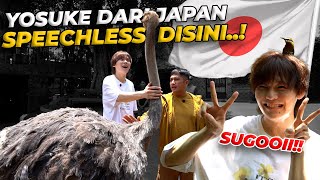 Download lagu PENYANYI JEPANG INI SAMPE GABISA MINGKEM LIAT HEWAN DI DEHAKIMS..! mp3