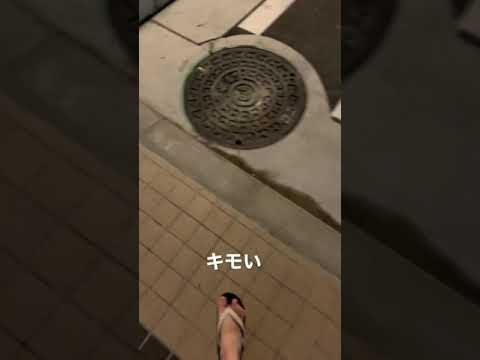 ゴキブリにも個性がある