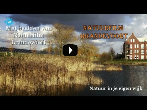 Natuurfilm Brandevoort Thema Winter
