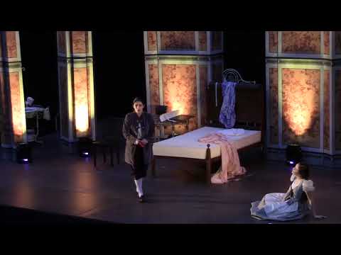 Non so piu cosa son by Mozart - Teresa Cachada