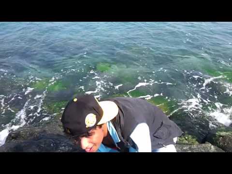 Saadi Galli Aaja Dj zedi