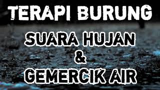 Download lagu Terapi Ampuh Suara Air Hujan Untuk Burung Macet Bunyi dan Burung Stres mp3 Download lagu Terapi Ampuh Suara Air Hujan Untuk Burung Macet Bunyi dan Burung Stres mp3